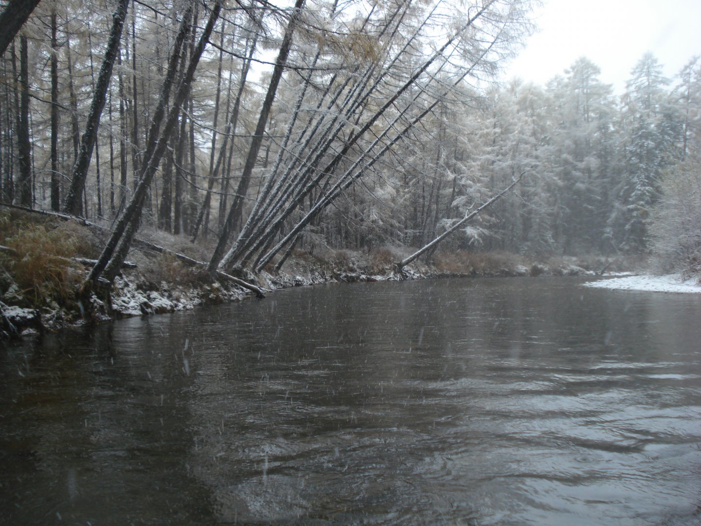 DSC05764.JPG