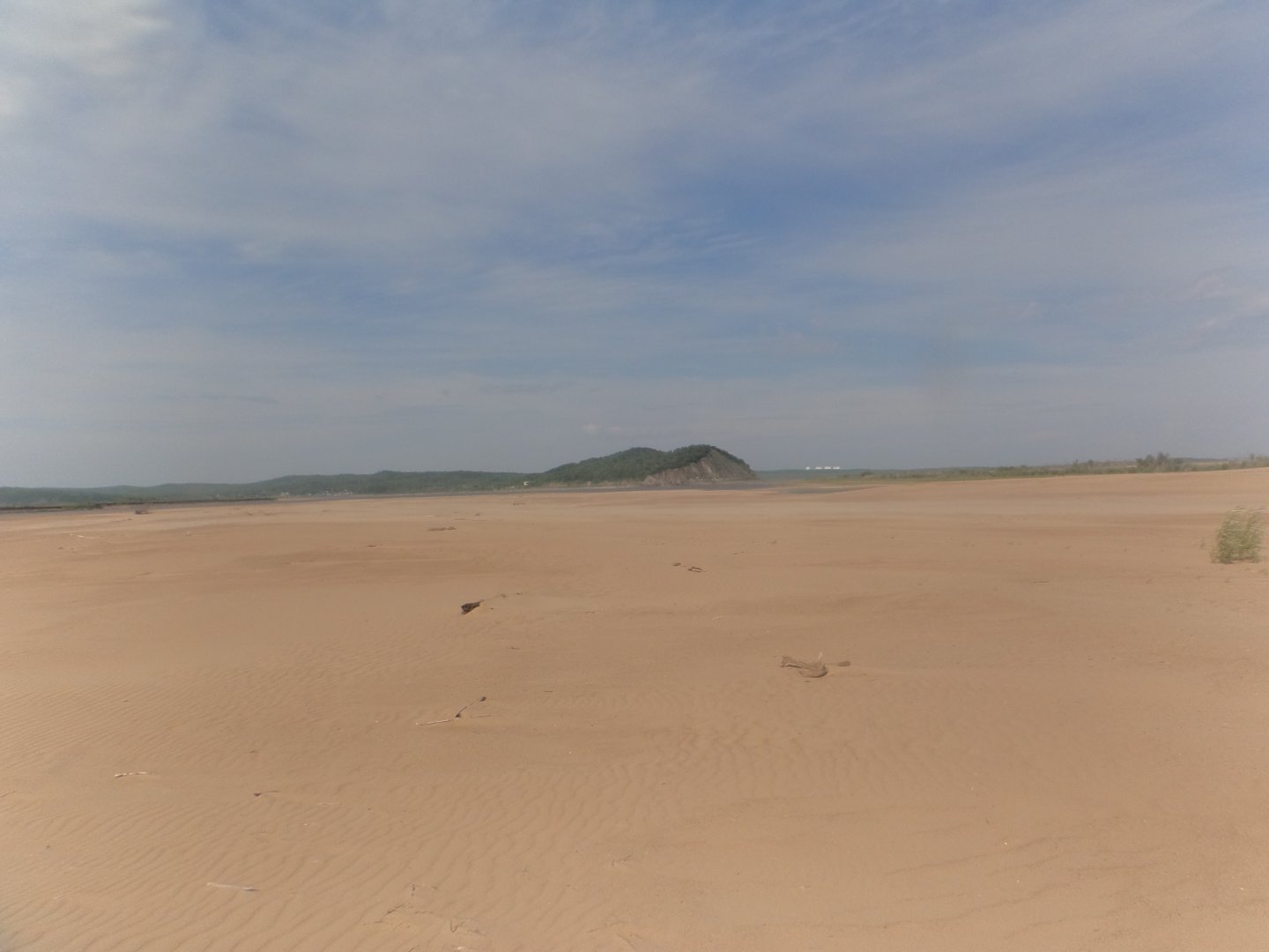 DSC05805.JPG