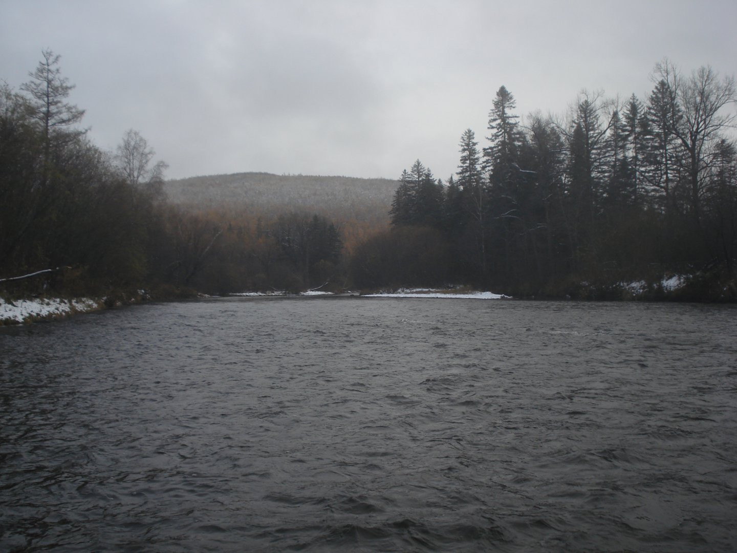 DSC05806.JPG
