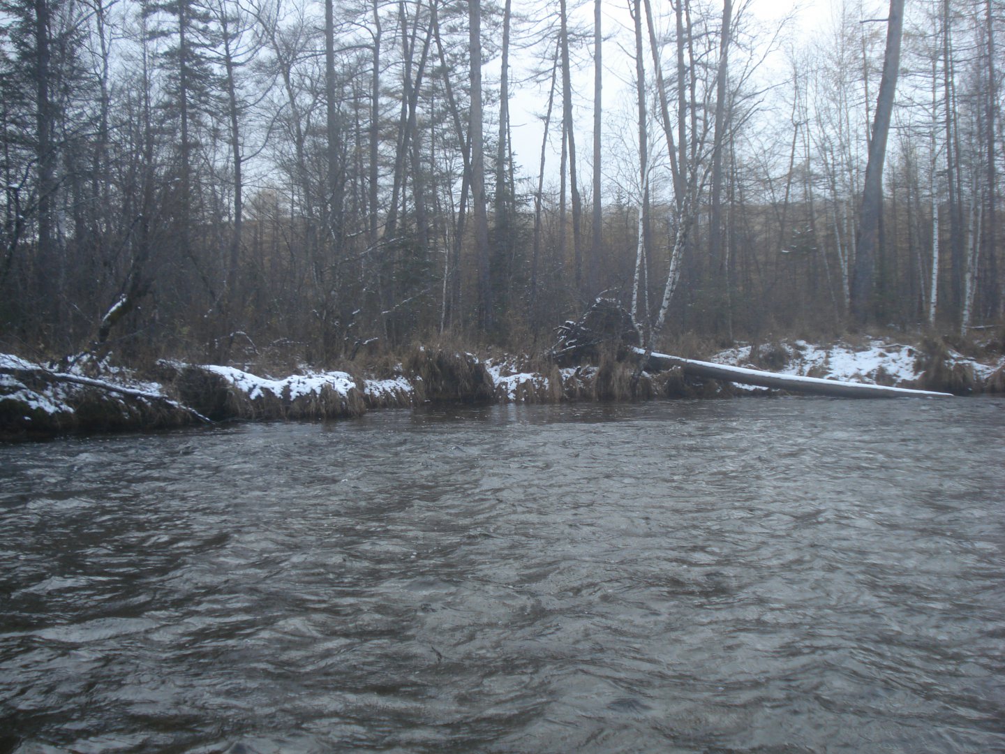 DSC05810.JPG