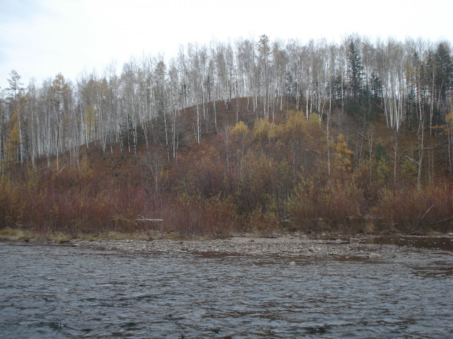 DSC05854.JPG