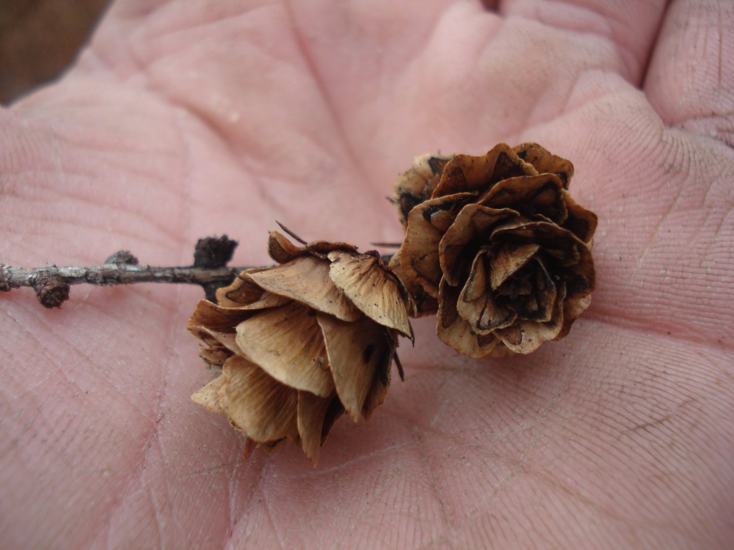 DSC05870.JPG