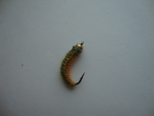 DSC06408.JPG