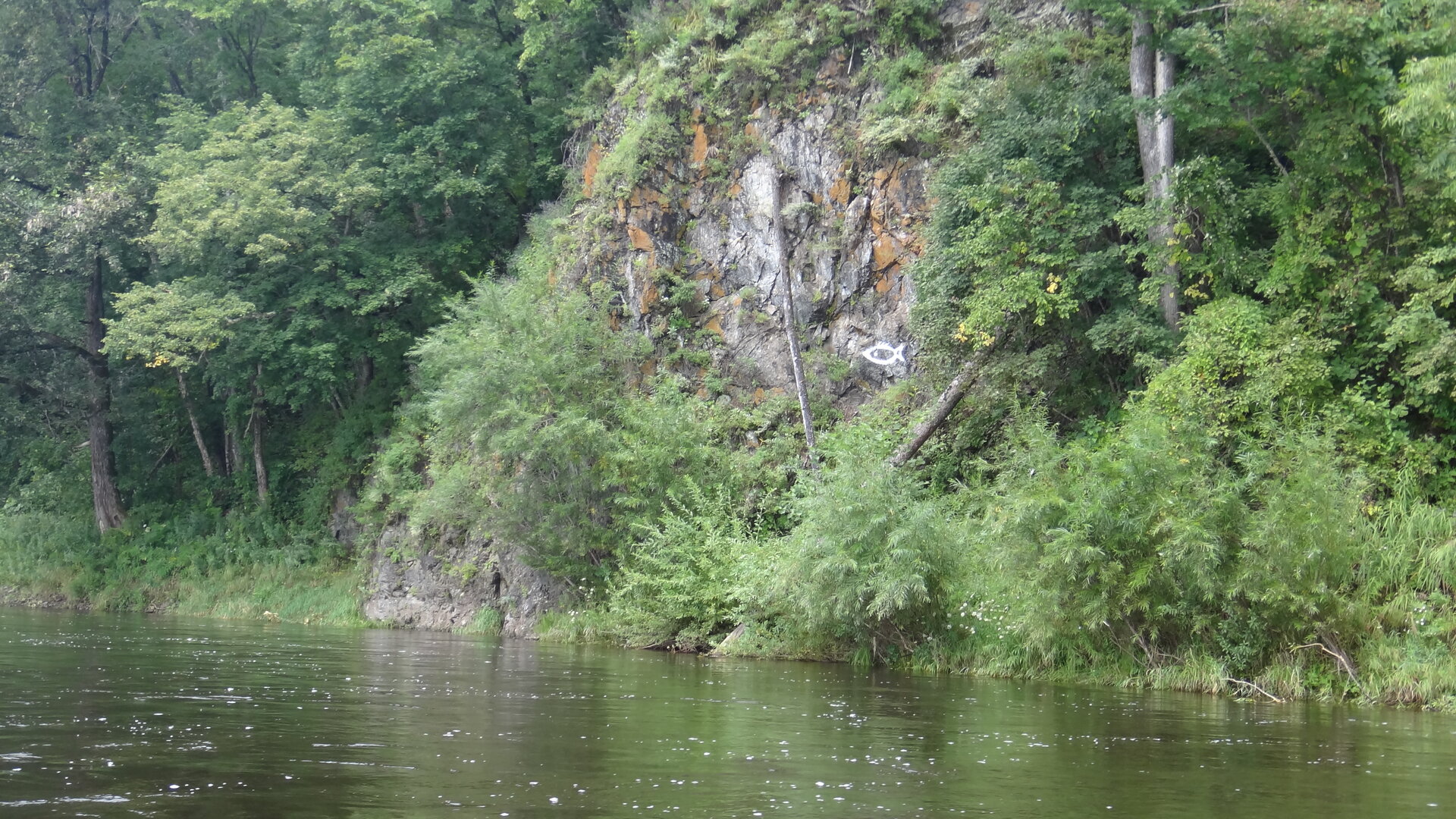 DSC06576.JPG