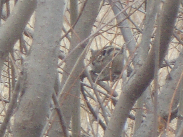 DSC06857.JPG