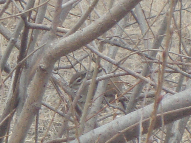 DSC06860.JPG