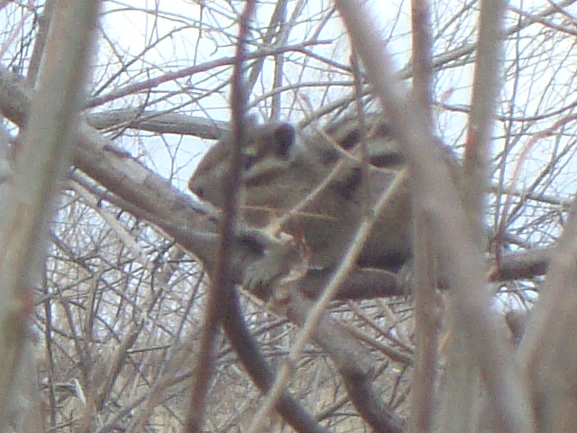 DSC06864.JPG