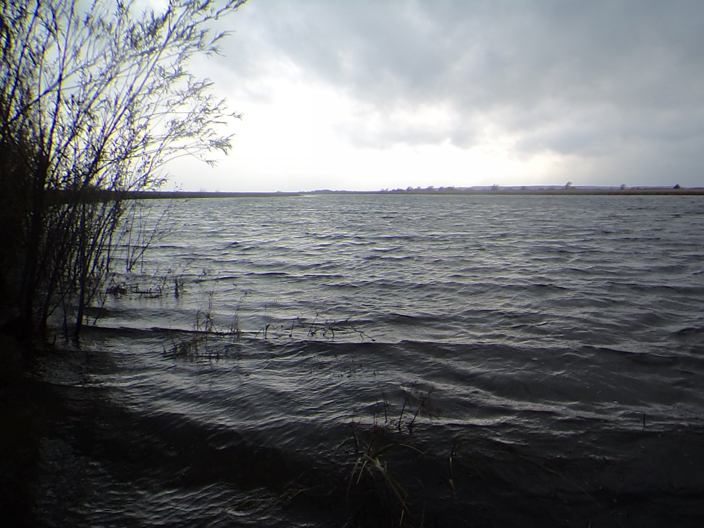 DSC06887.JPG