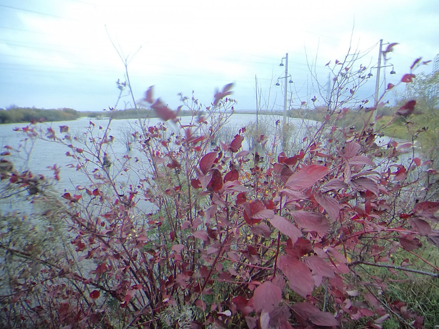 DSC06889.JPG