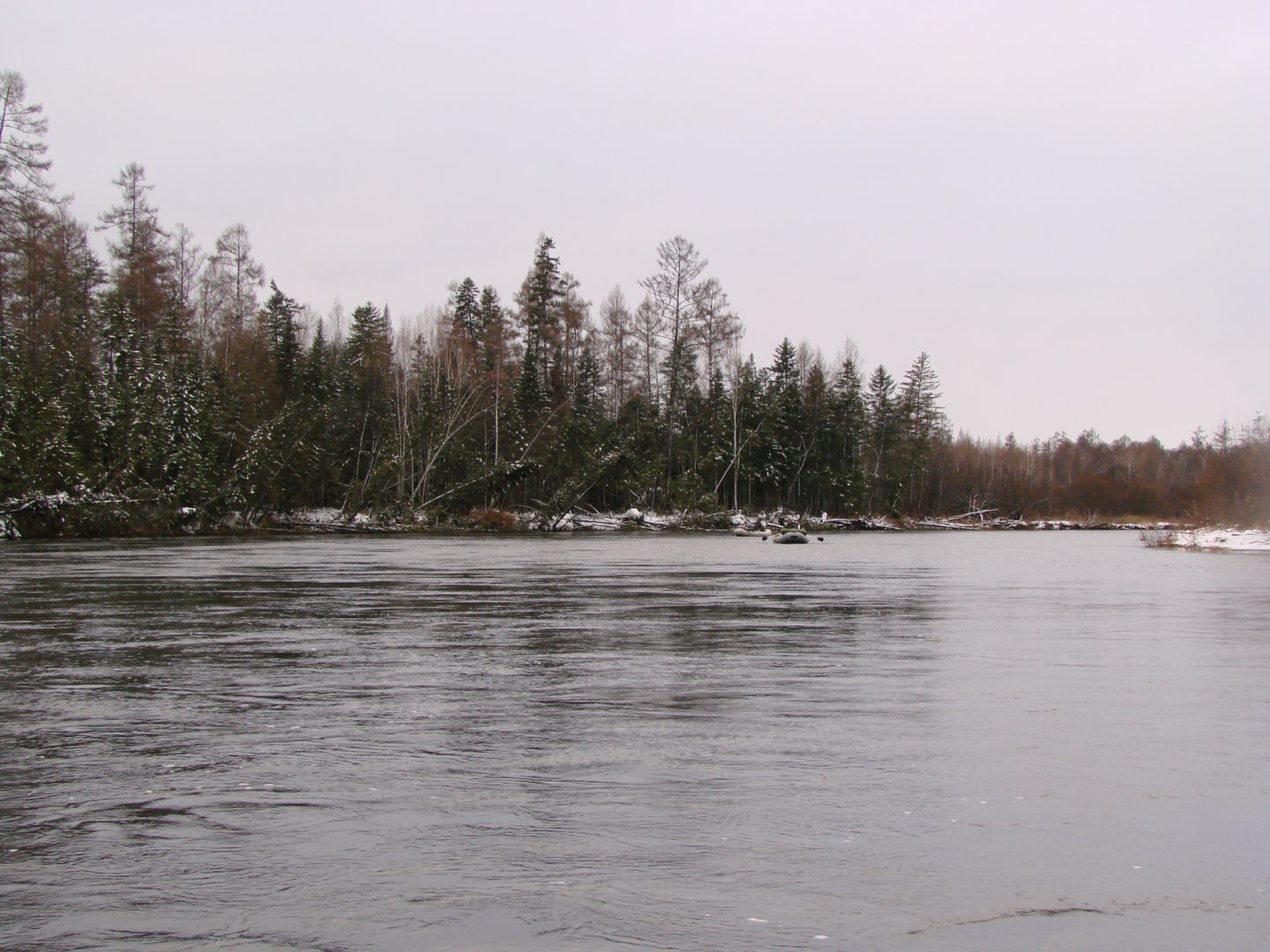 DSC06926.JPG