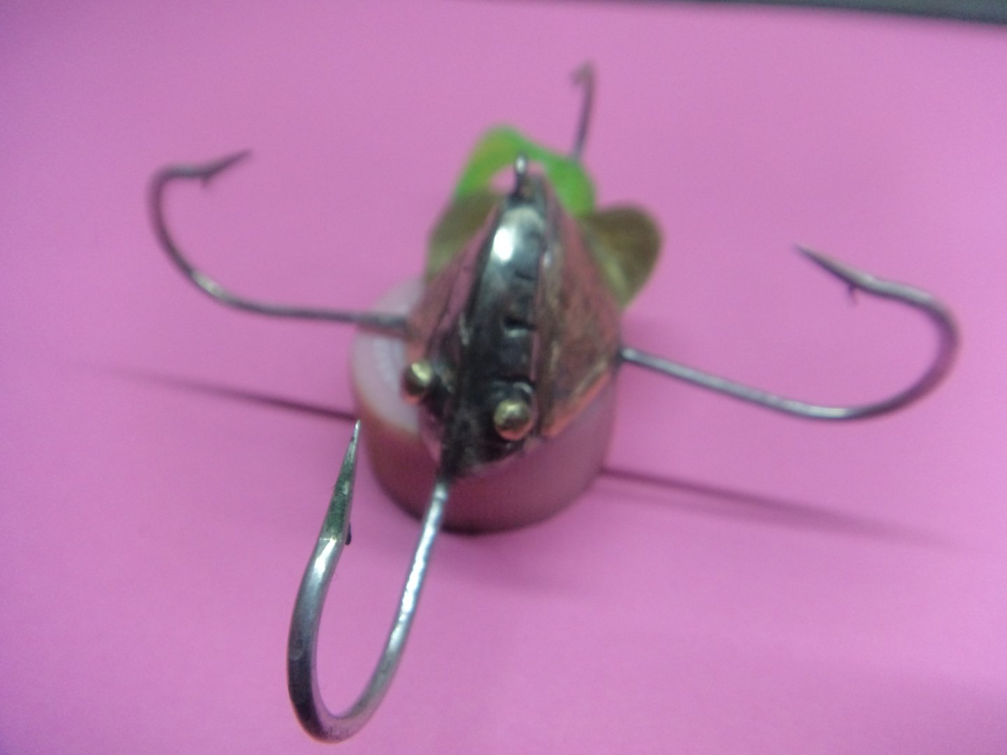DSC07036.JPG