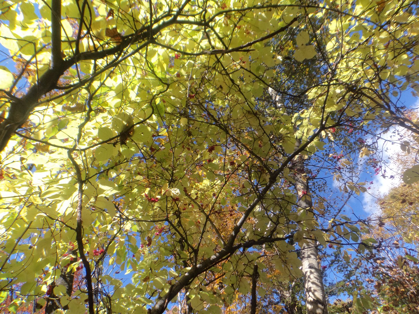 DSC07078.JPG