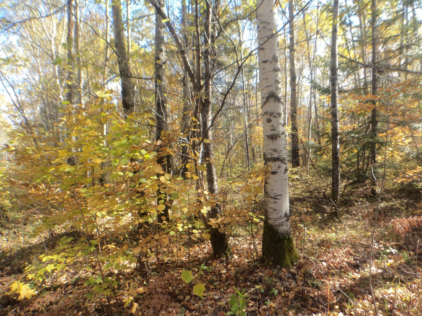 DSC07090.JPG