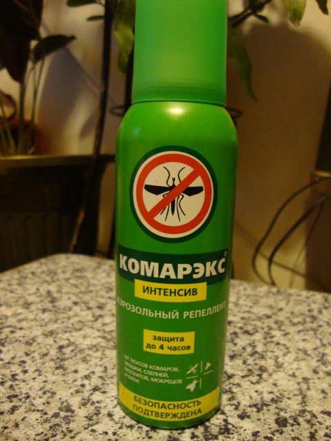 DSC07095.JPG