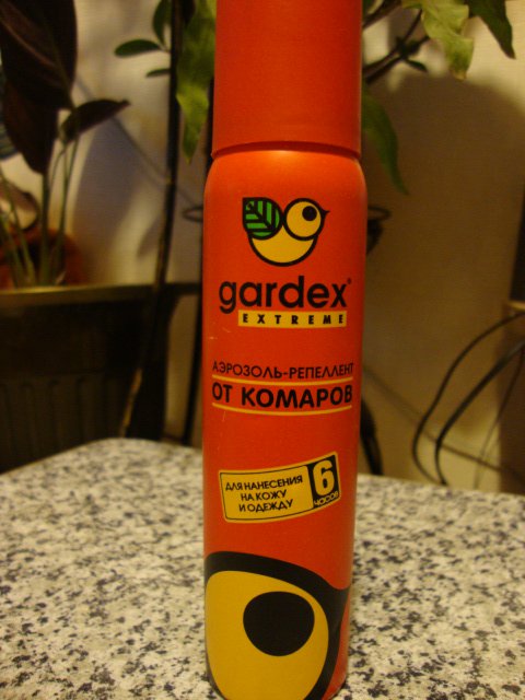 DSC07096.JPG