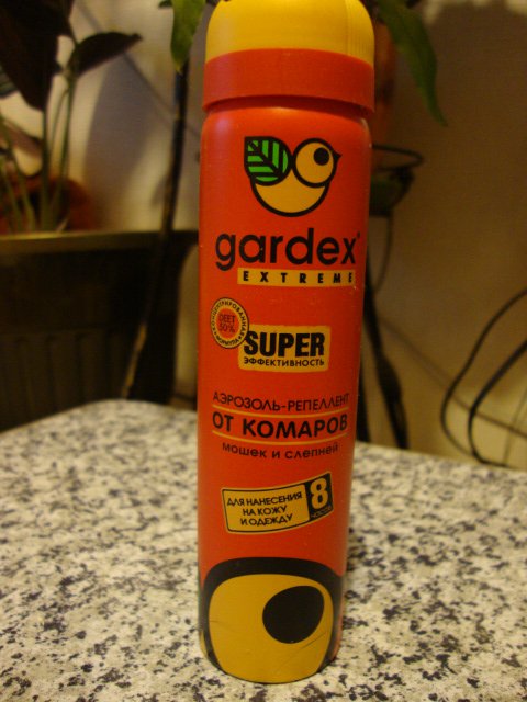 DSC07097.JPG