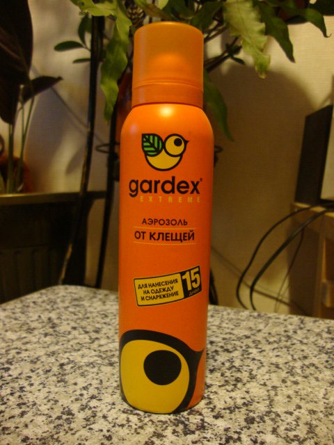 DSC07098.JPG