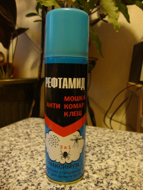 DSC07100.JPG