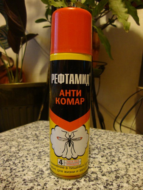 DSC07101.JPG