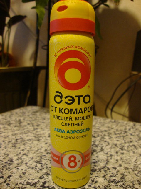 DSC07106.JPG