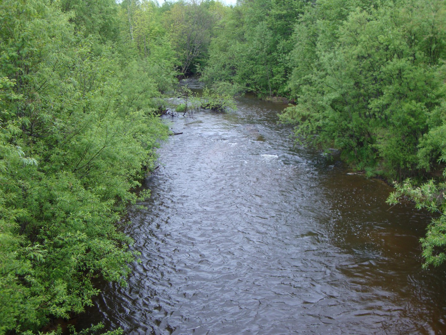 DSC07118.JPG