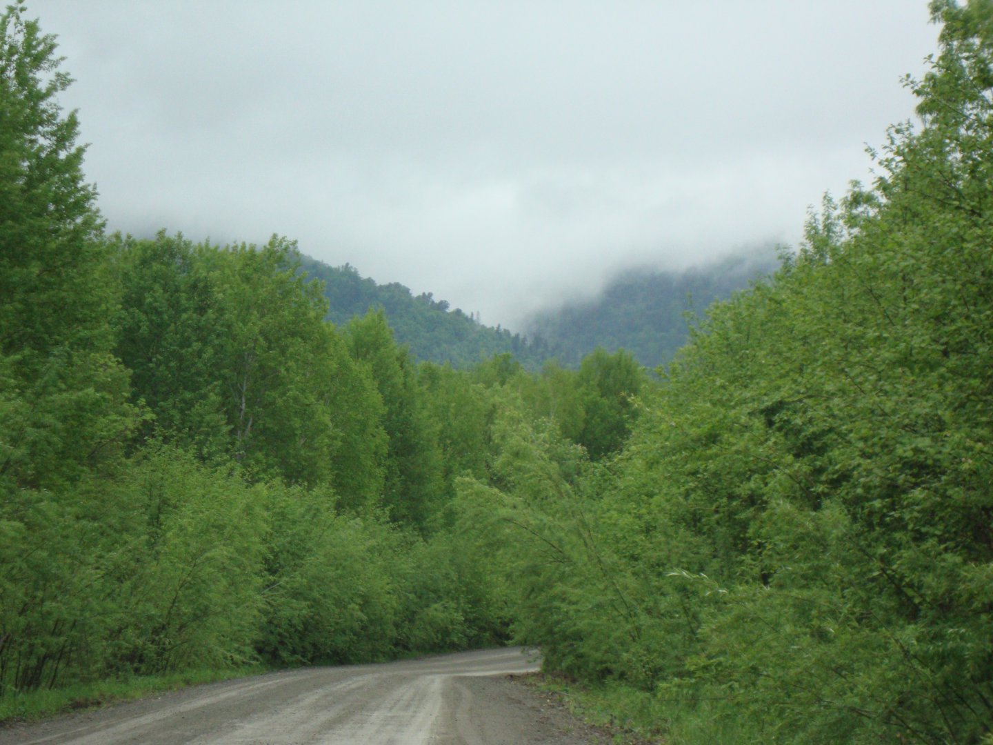 DSC07121.JPG
