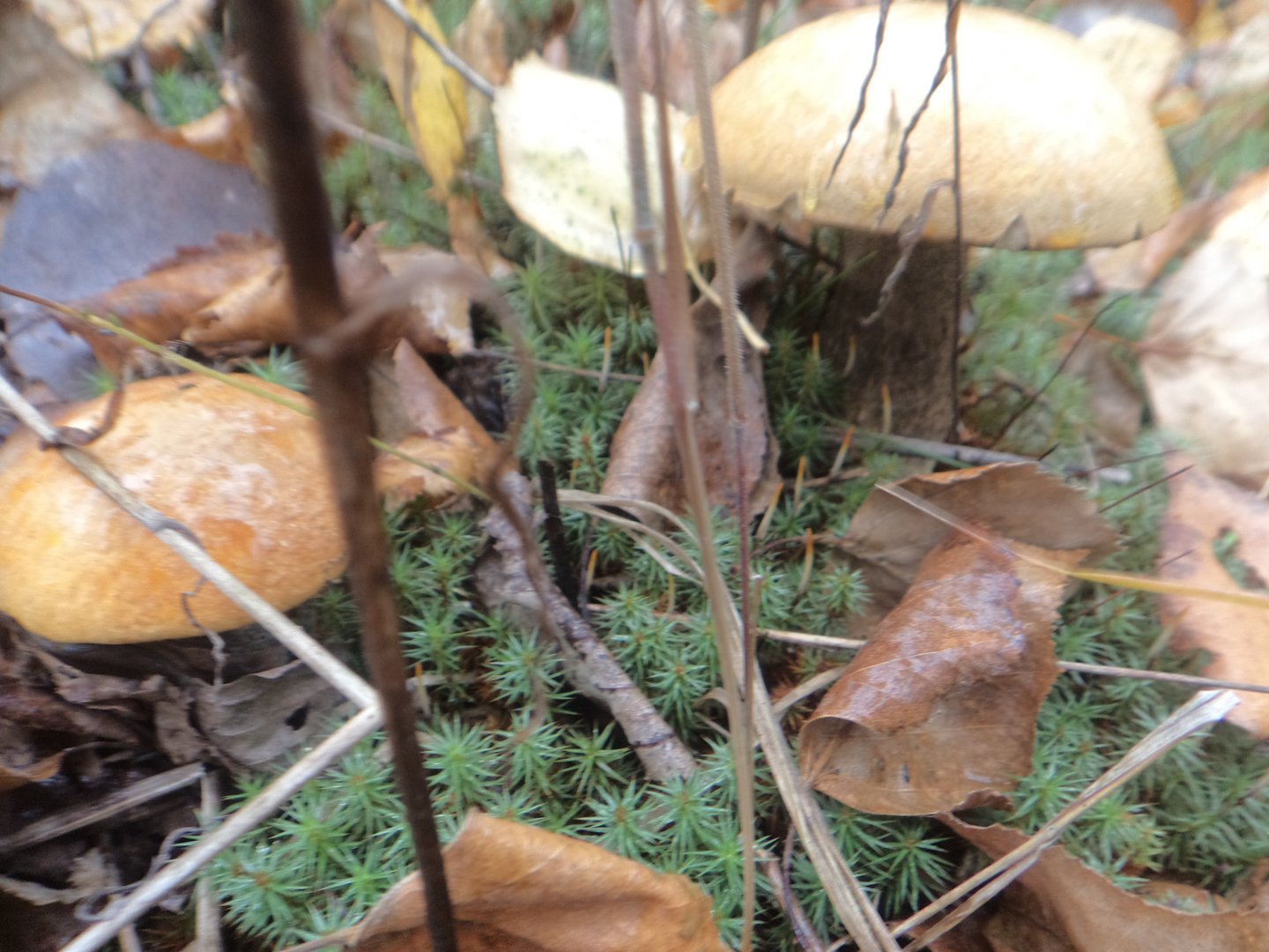 DSC07127.JPG