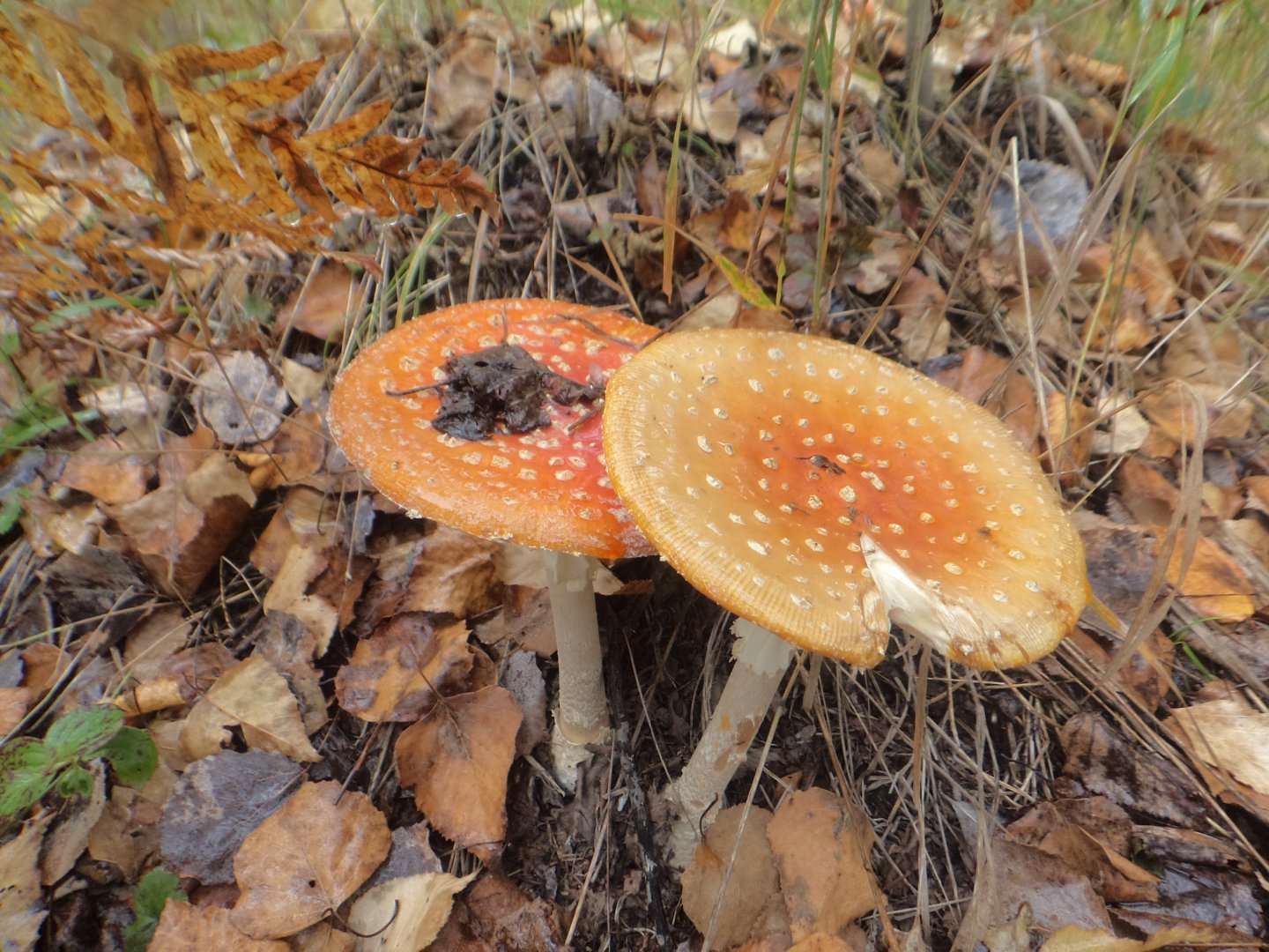 DSC07153.JPG