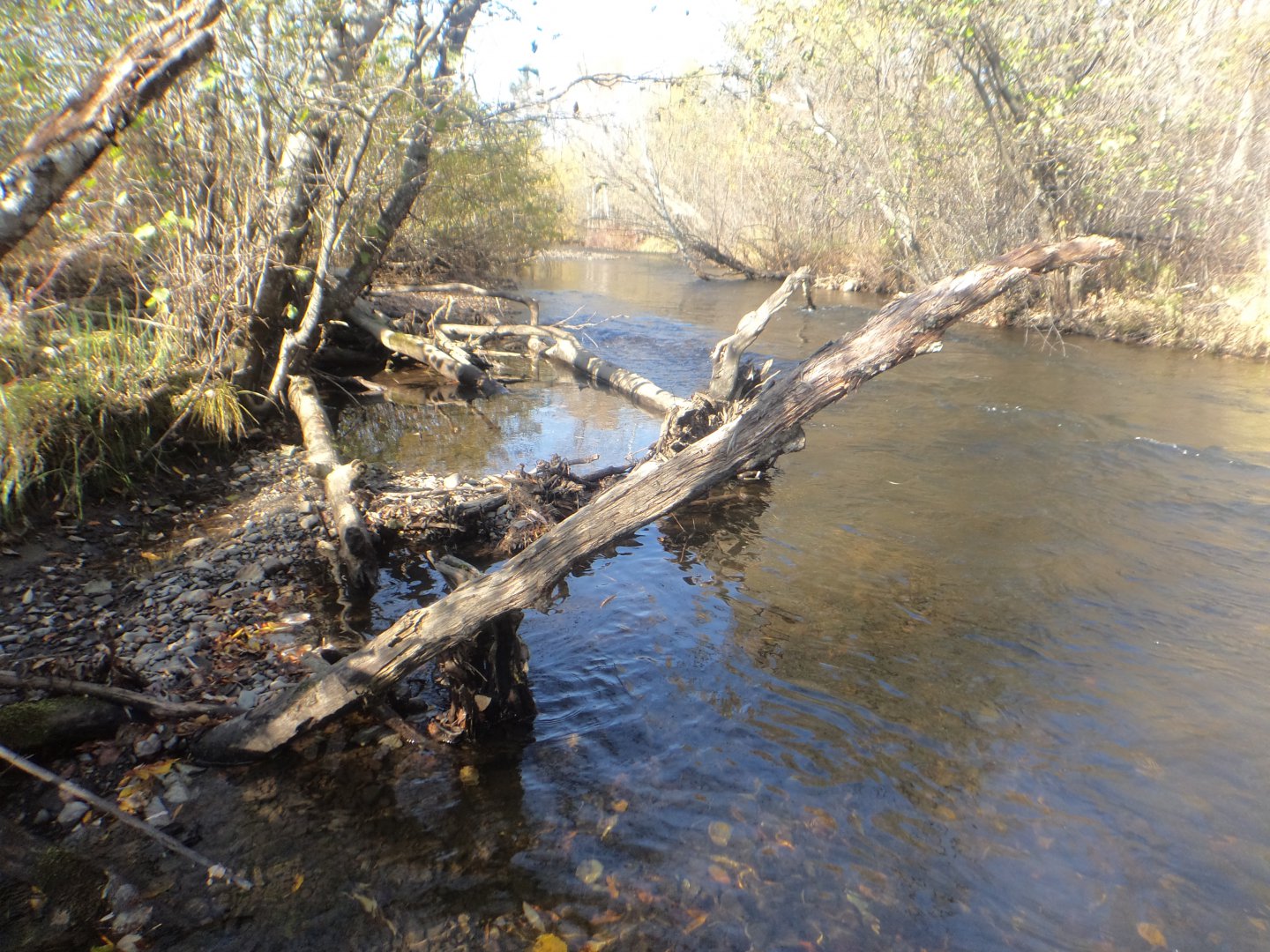 DSC07215.JPG