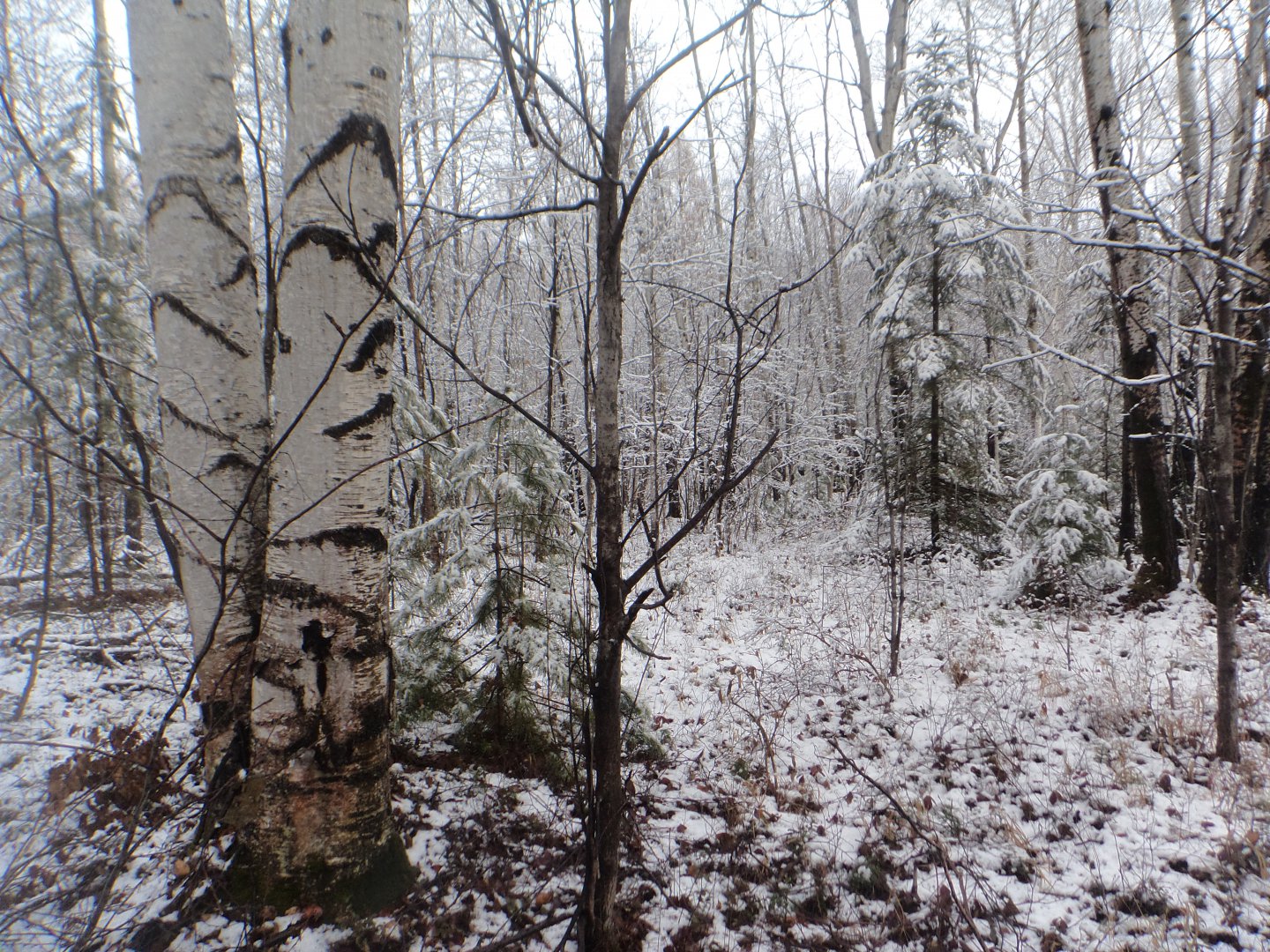 DSC07245.JPG