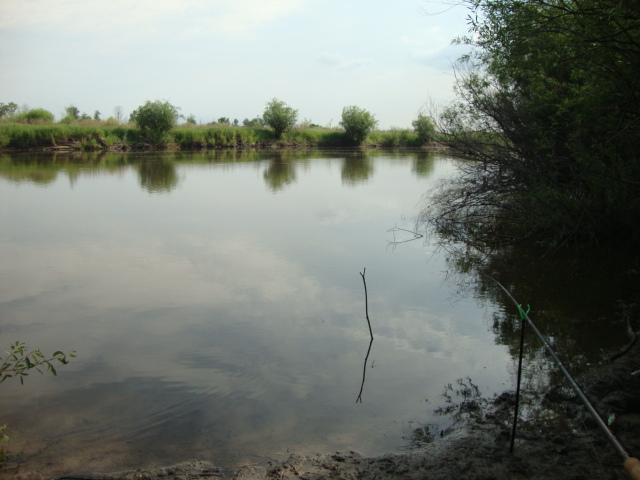 DSC07264.JPG