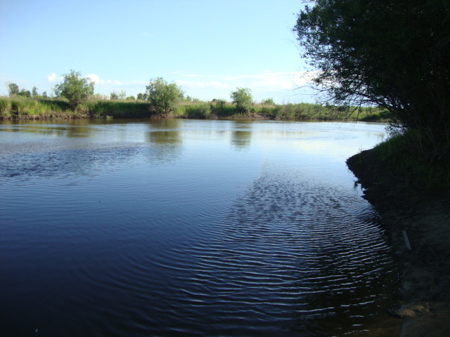 DSC07285.JPG