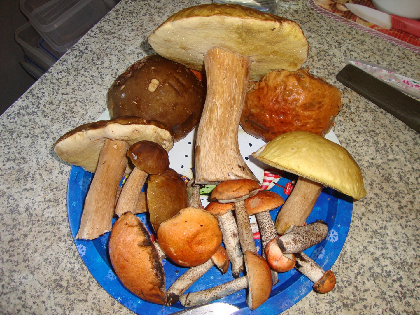 DSC07448.JPG
