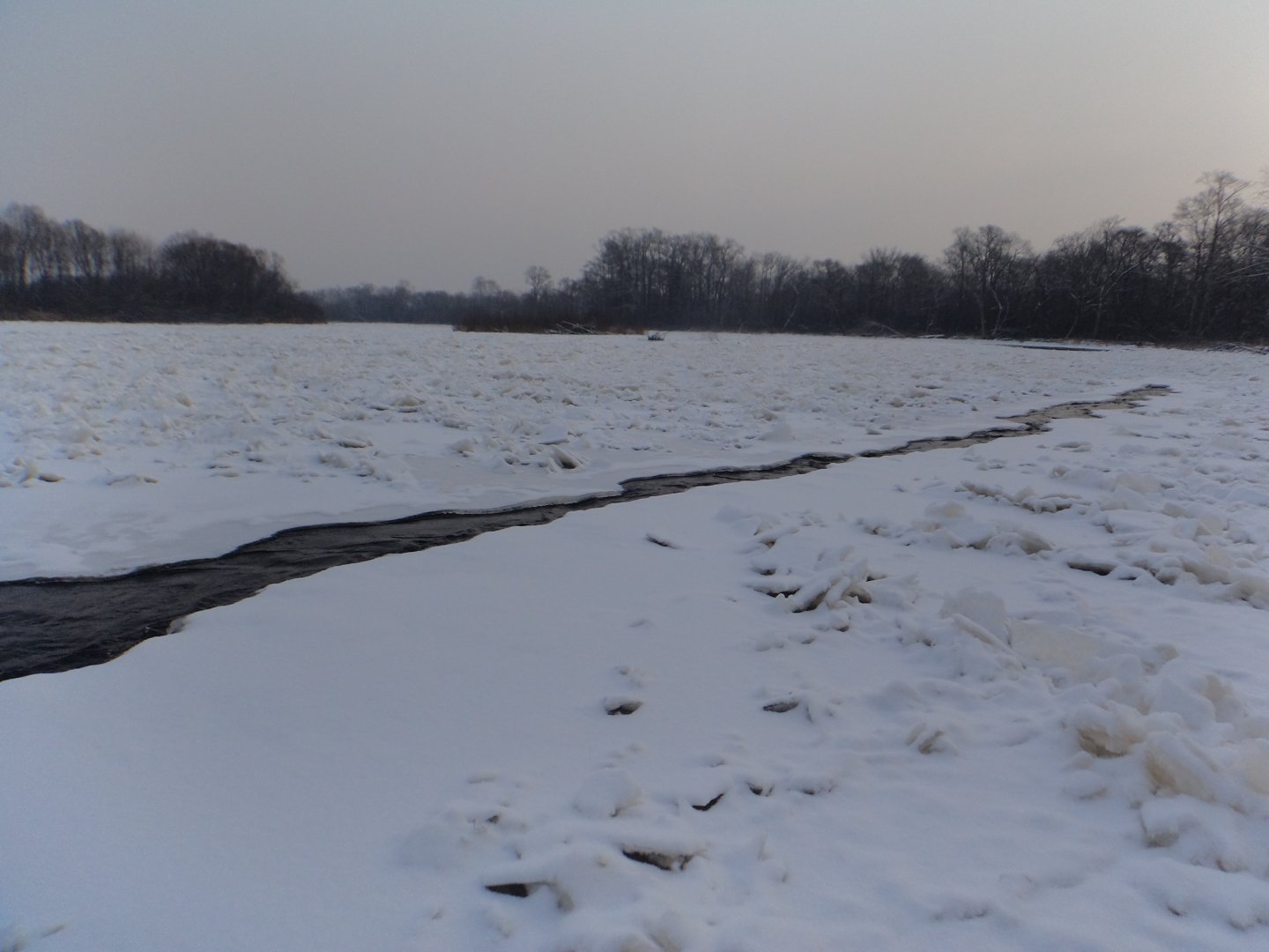 DSC07507.JPG