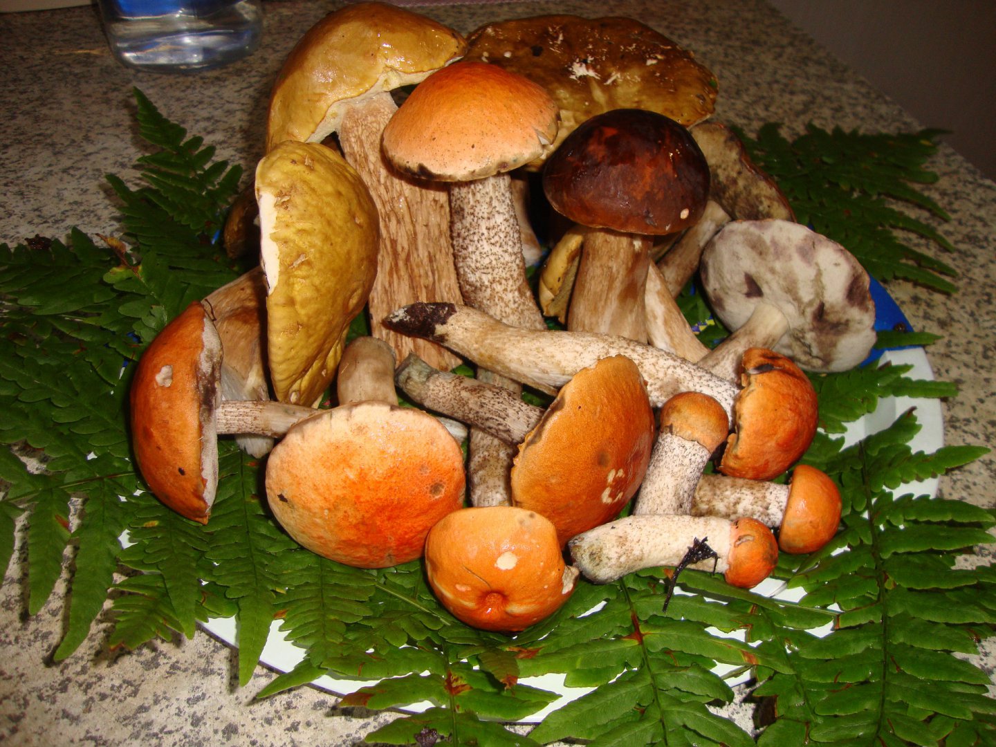 DSC07509.JPG