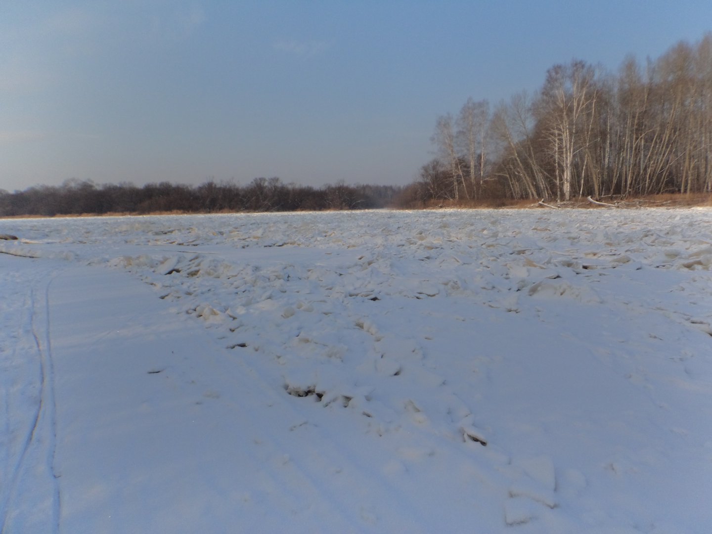 DSC07509.JPG