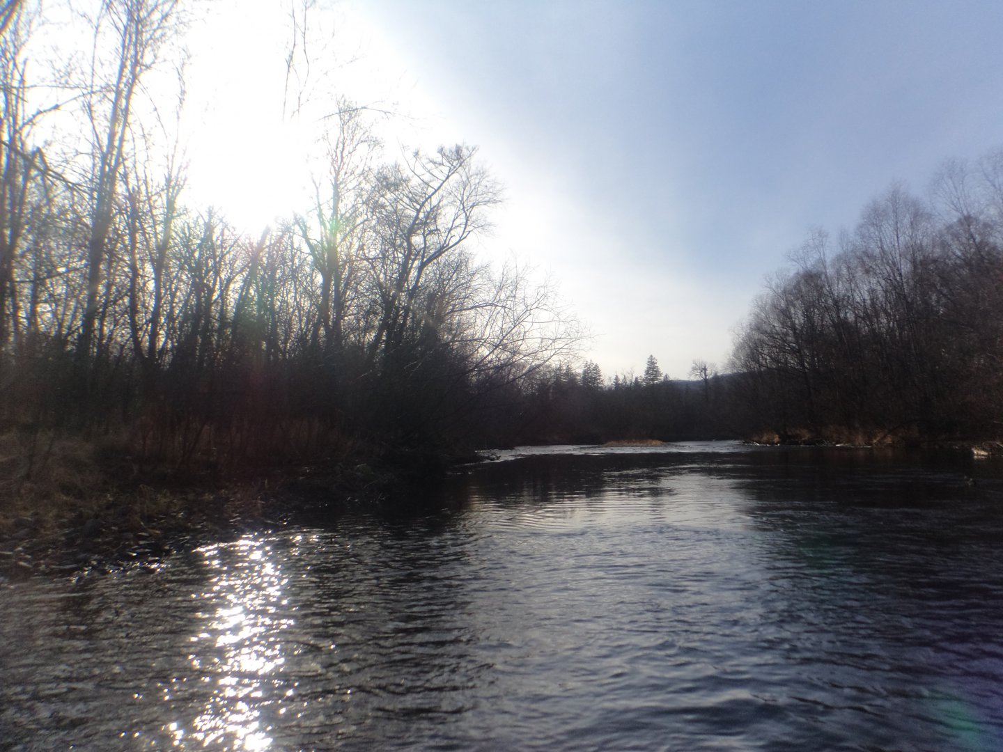 DSC07518.JPG