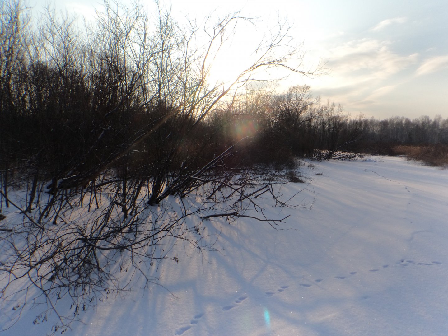 DSC07544.JPG