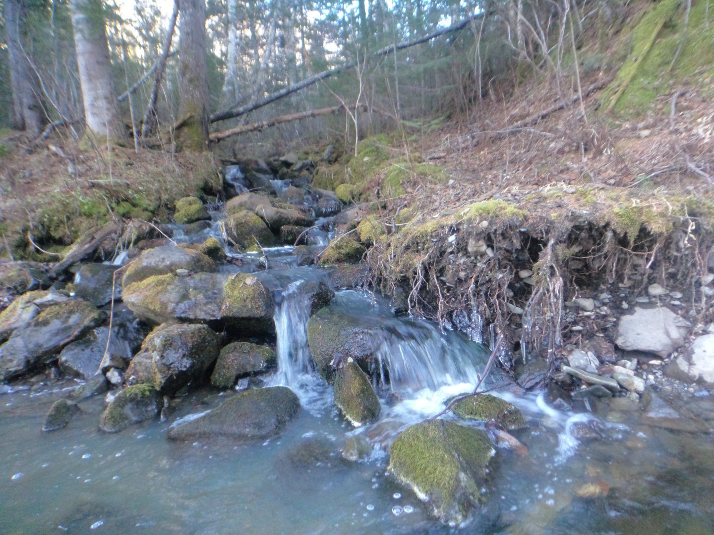 DSC07553.JPG