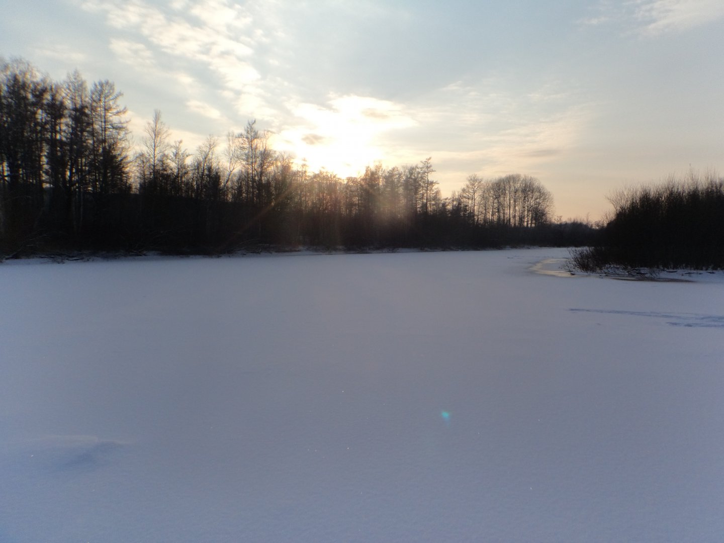 DSC07557.JPG