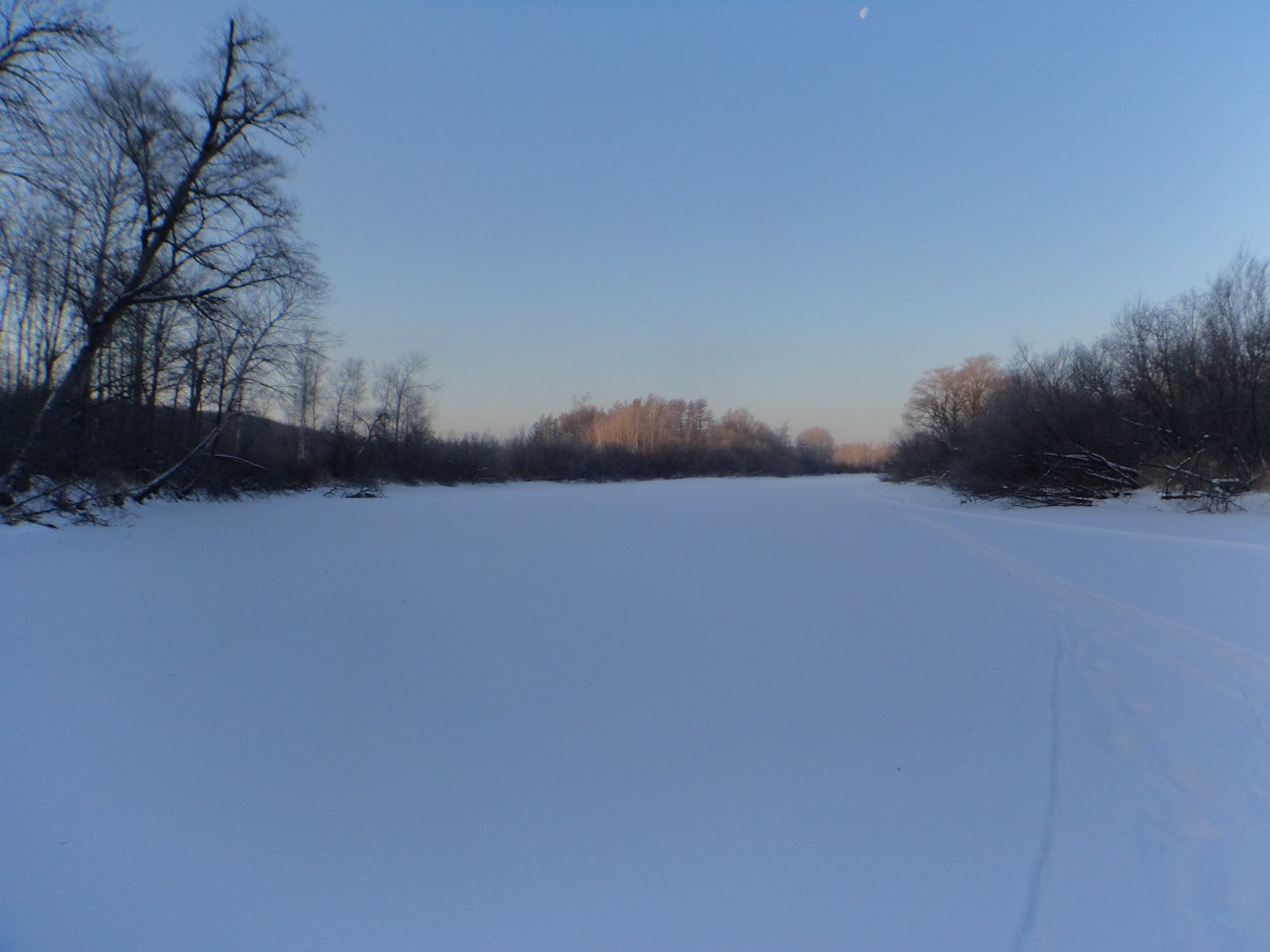 DSC07569.JPG