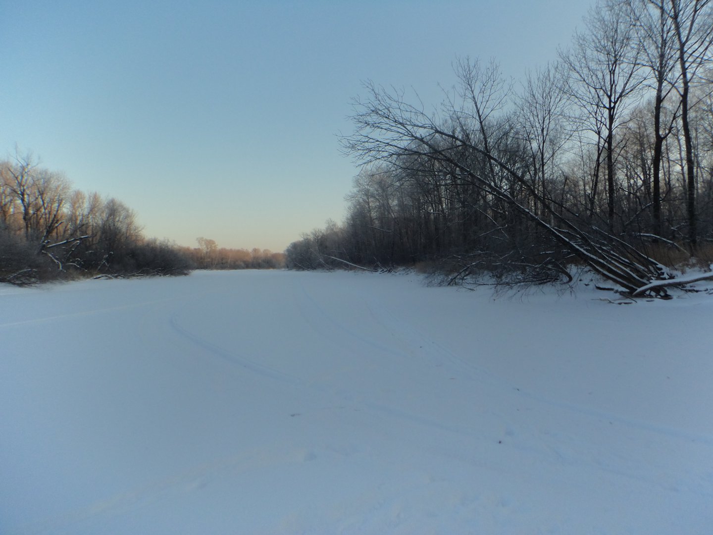 DSC07570.JPG