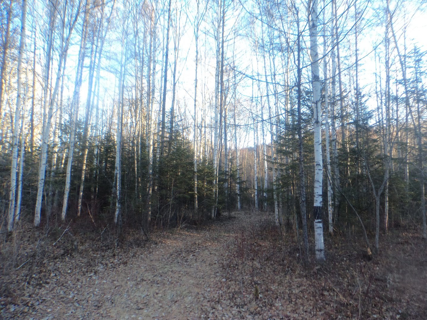 DSC07571.JPG