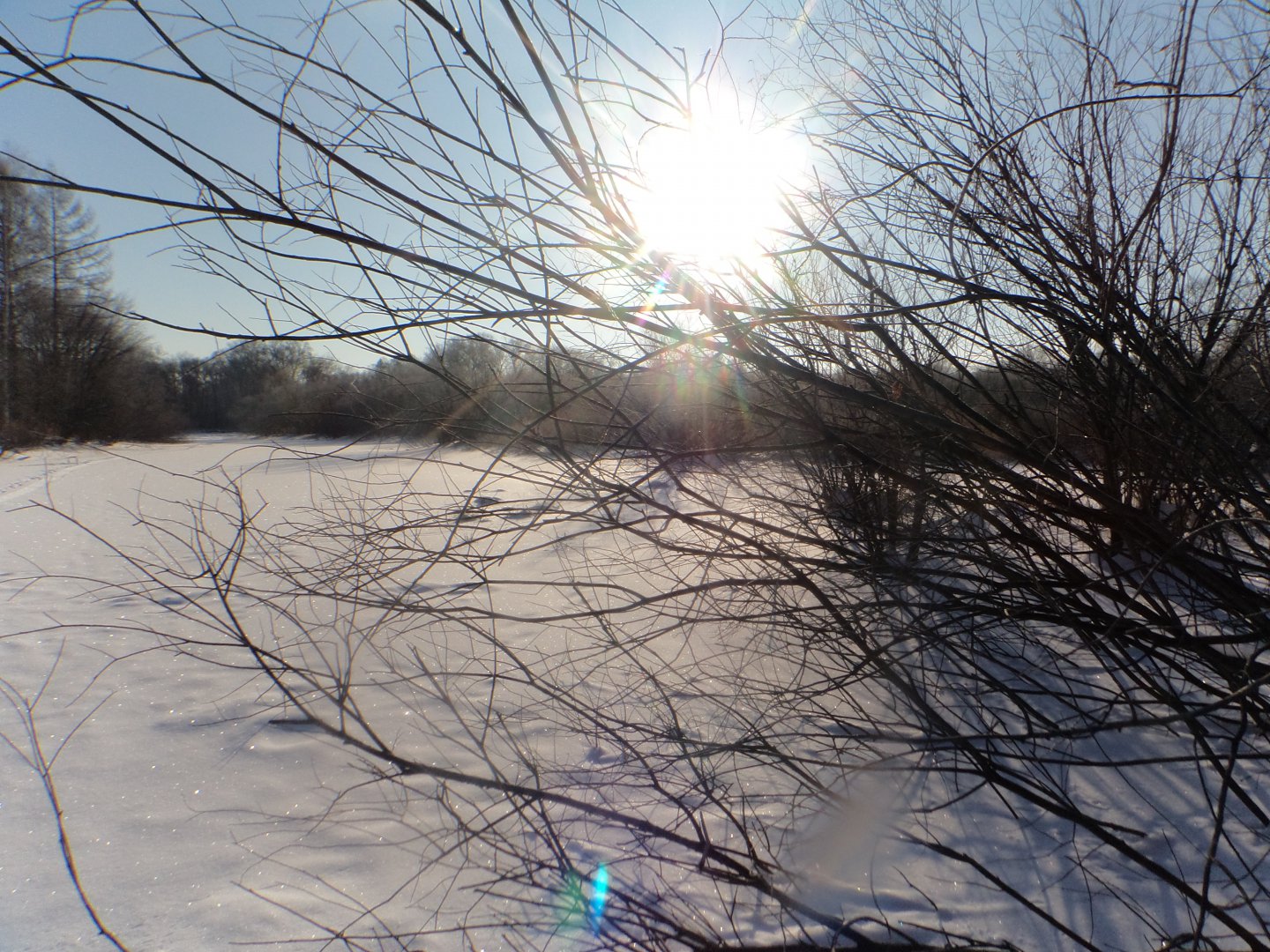 DSC07578.JPG