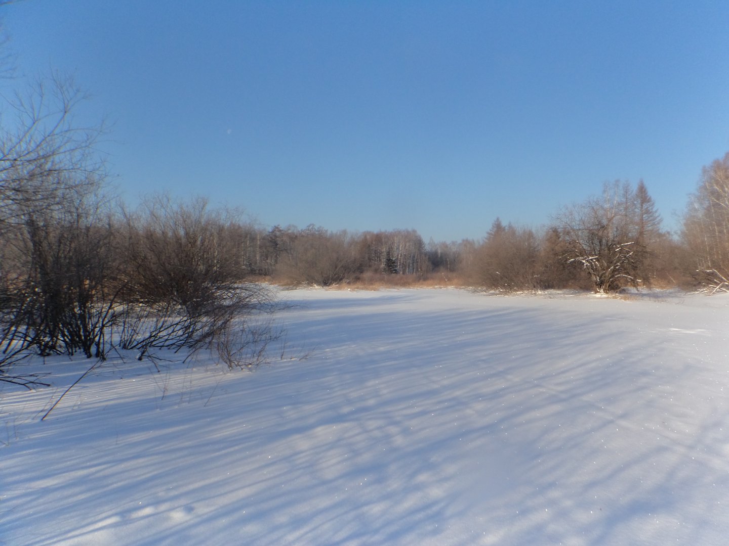 DSC07579.JPG