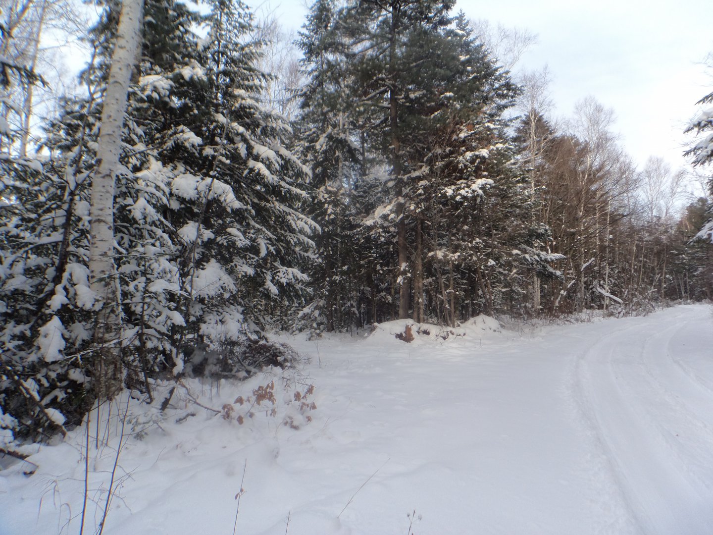 DSC07598.JPG