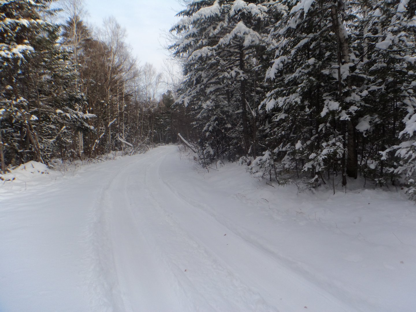 DSC07599.JPG