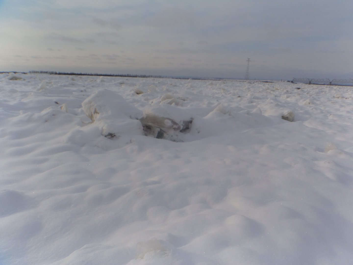 DSC07608.JPG