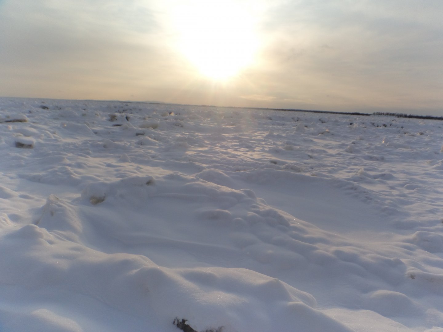 DSC07623.JPG