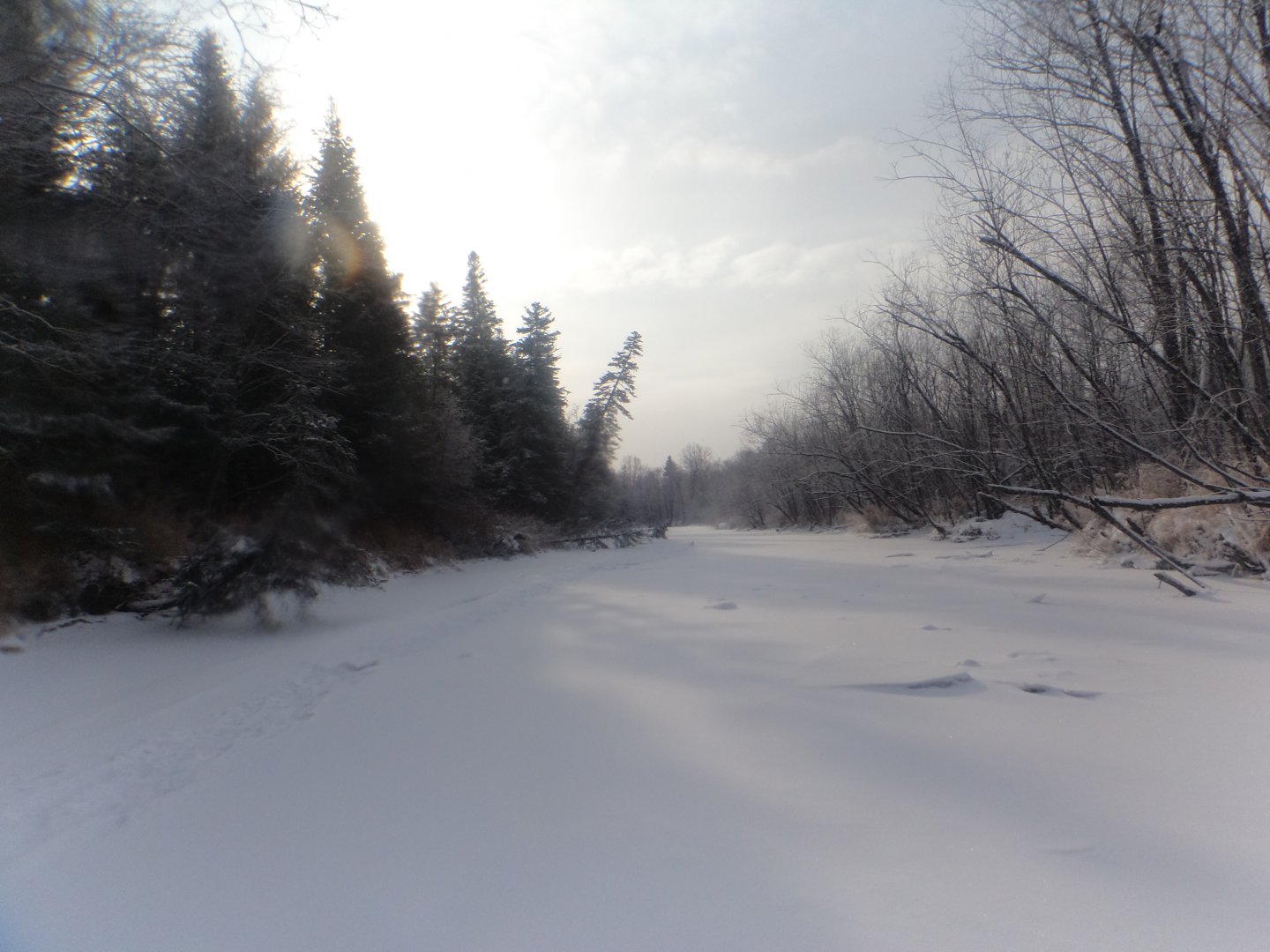 DSC07674.JPG